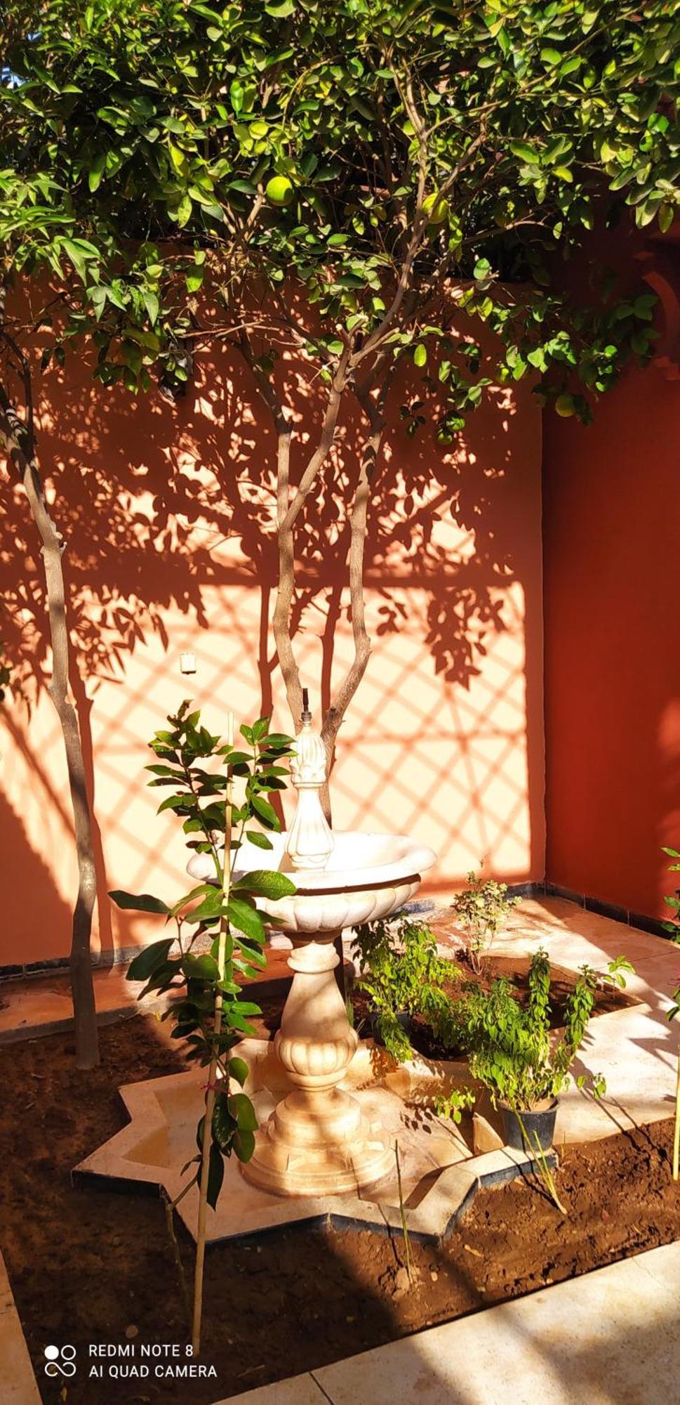 Maison D'Hotes Le Petit Jardin Marrakech Марракеш Экстерьер фото